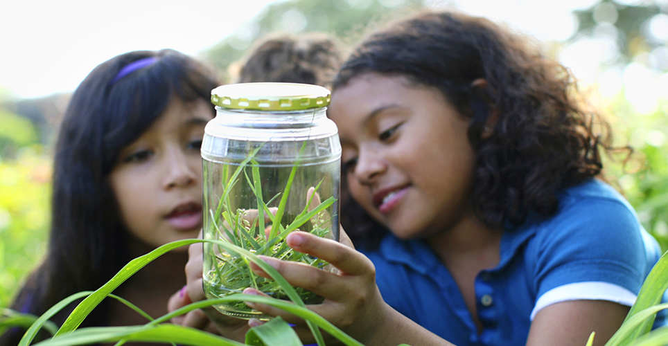 two young children looking at a bug in a jar