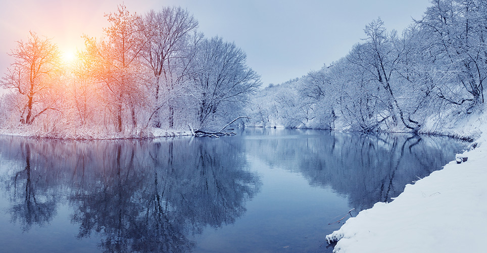 Snowy sunrise through trees with a river