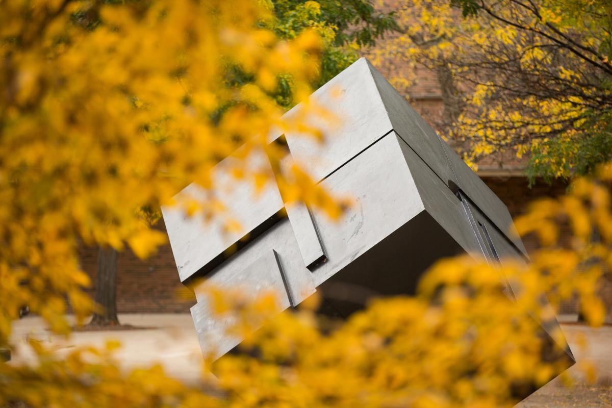 The Cube surrounded by autumn leaves