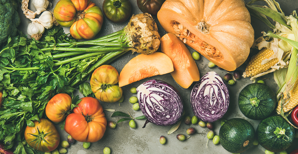 fresh fall vegetables like squash, cabbage and more.