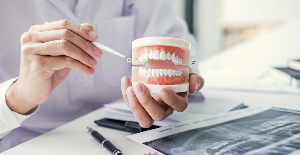 Dentist looking at teeth and x-rays