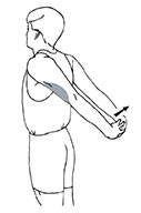 Illustration of a bicep stretch with arms behind you