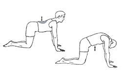 Illustration of person performing a lumbar stretch