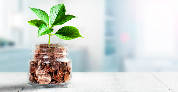 a flourishing green plant growing out of a jar of pennies