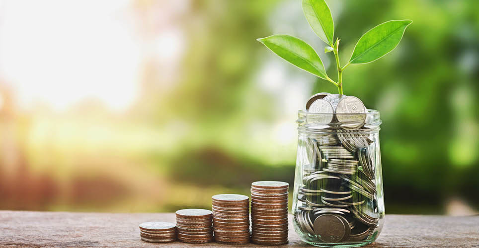 jar filled with coins and a plant growing out of it