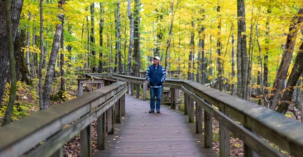 man in blue clothes standing on a boardwalk in the middle of a forest of deciduous trees