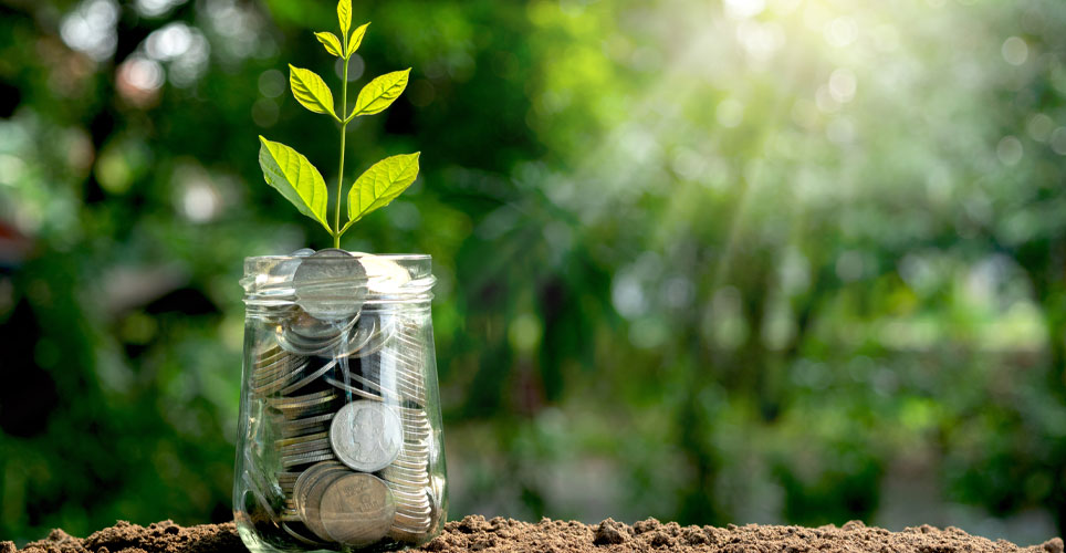 plant growing in glass jar full of coins