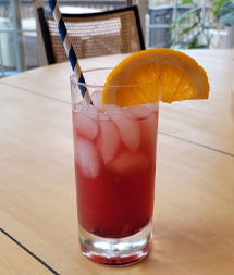 Pomegranate Citrus Fizz in a glass with a straw and an orange segment garnish