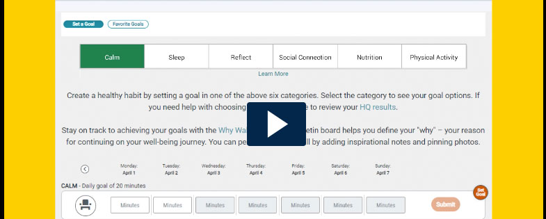 screenshot of goal setting page on MHealthy Portal