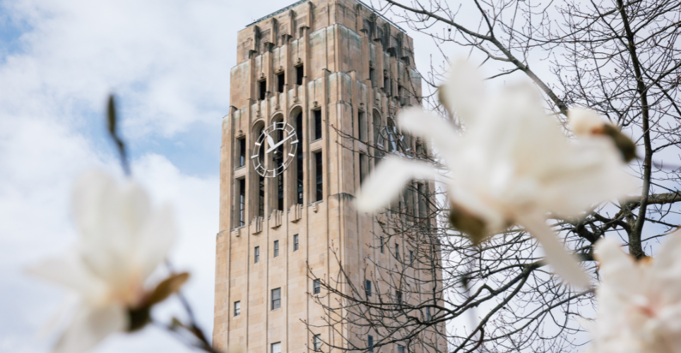 Clock tower with flower tree surrounding it