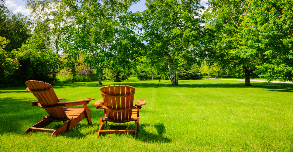 Backyard view with two lawn chairs