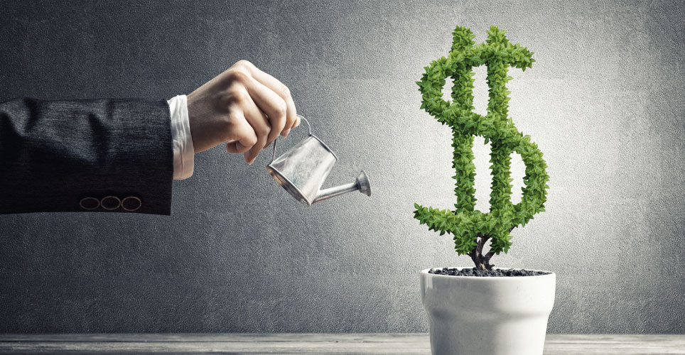 close up of a sleeved hand holding a small watering can watering a dollar symbol shaped plant