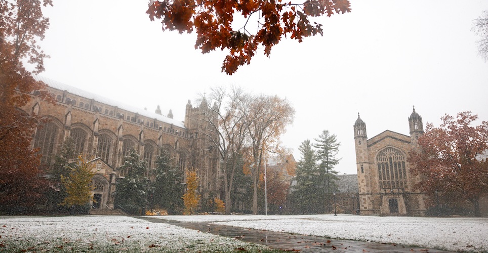 Law Quad interior with show on the ground and some visible oak leaves. 