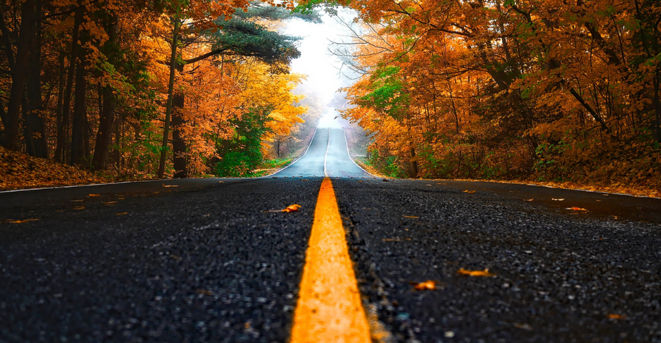 Road surrounded by trees with fall colors. 