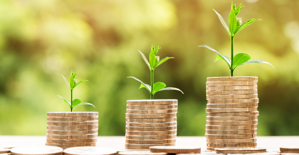 Three green, small plants planted on stacks of coins, showing growth.