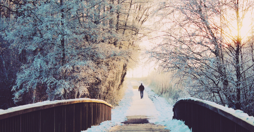 Person walking through a snowy forest.