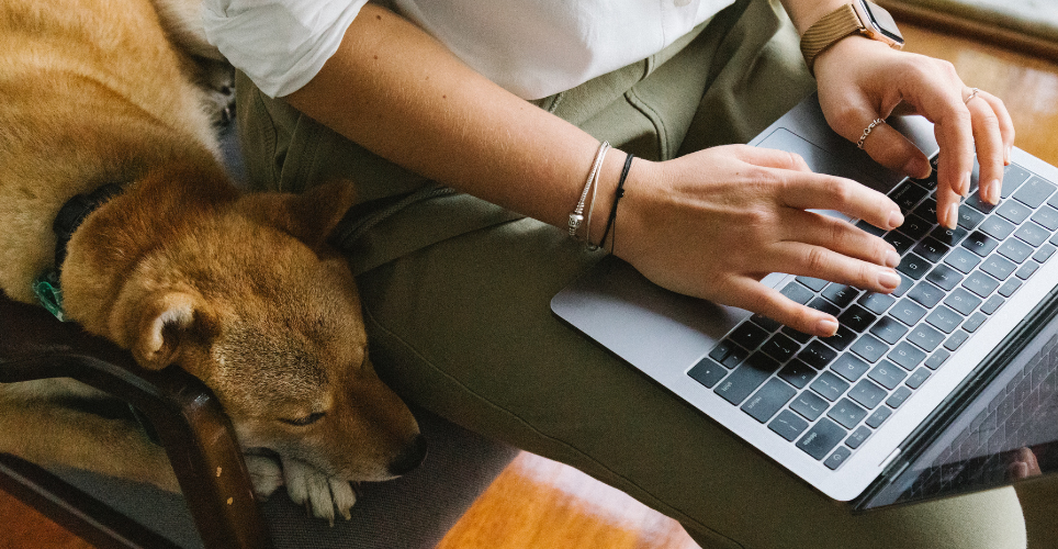 Woman sitting working on laptop next to brown dog
