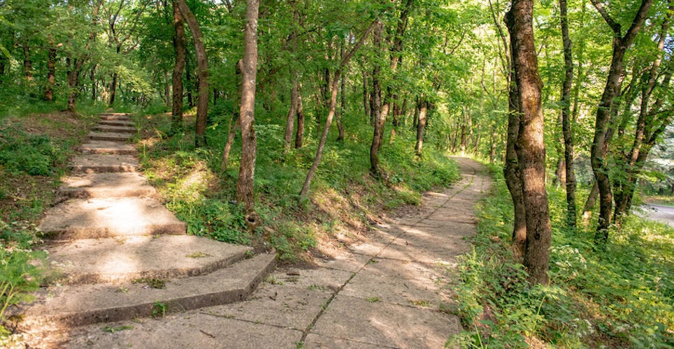 A hiking path in a green forrest in springtime. Sun filters through the greenery. 
