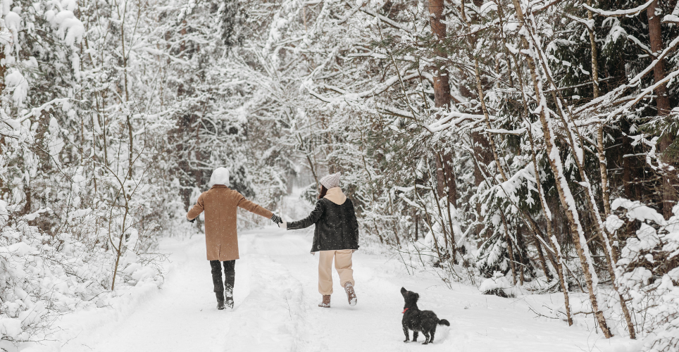 two people and their dog walking on a  snowy path surrounded by trees.